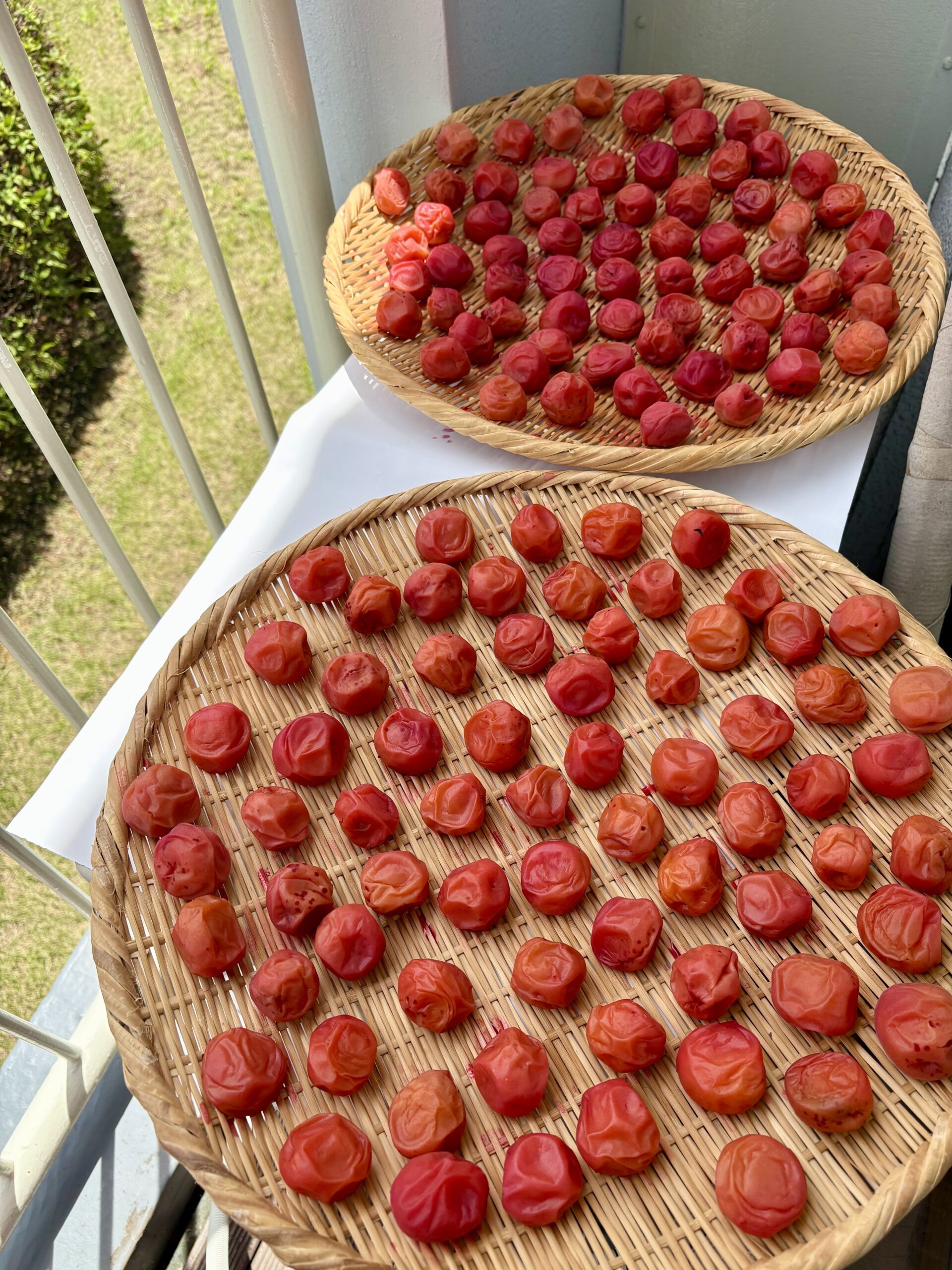 自律神経専門パーソナルトレーニング Rapport